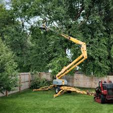 Best Arborist Consultation Services  in Mondovi, WI