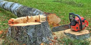 Best Firewood Processing and Delivery  in Mondovi, WI